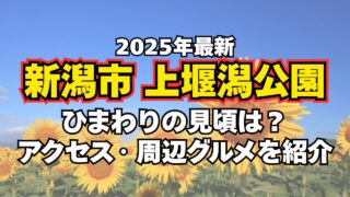【2025年版】新潟市西蒲区・上堰潟公園のひまわり見ごろ情報｜開花状況やアクセス・撮影スポットも紹介！ 