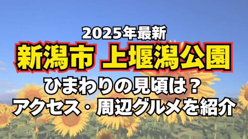 【2025年版】新潟市西蒲区・上堰潟公園のひまわり見ごろ情報|開花状況やアクセス・撮影スポットも紹介!